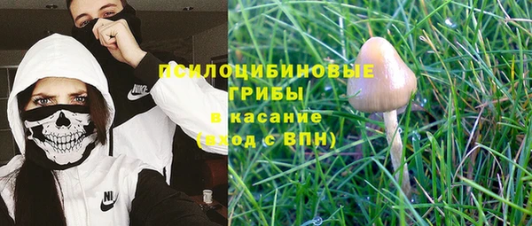 прущий лед Семилуки