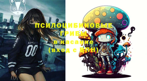 молекула духа Алексин