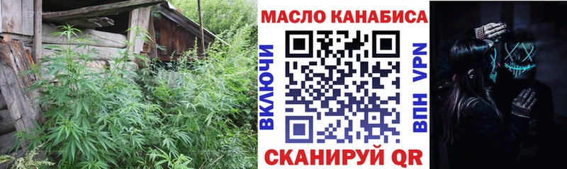 как найти закладки Алексеевка ТГК жижа