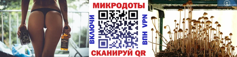 наркота  дарк нет как зайти  mega tor  Псилоцибиновые грибы мухоморы  Алексеевка 